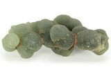 Botryoidal Prehnite - Mali #219515-2